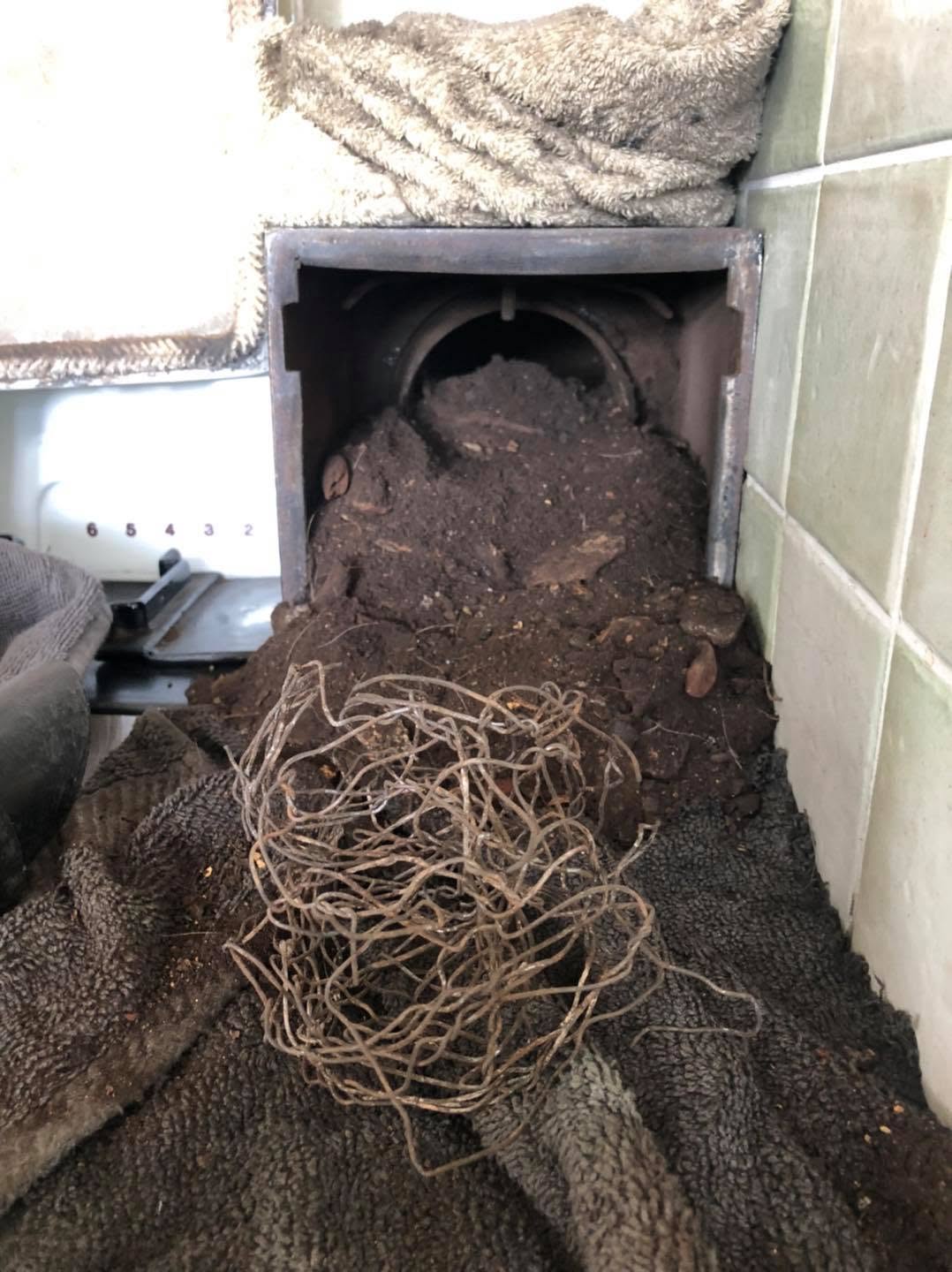 Nest material and wire pulled from a range flue onto a dust sheet