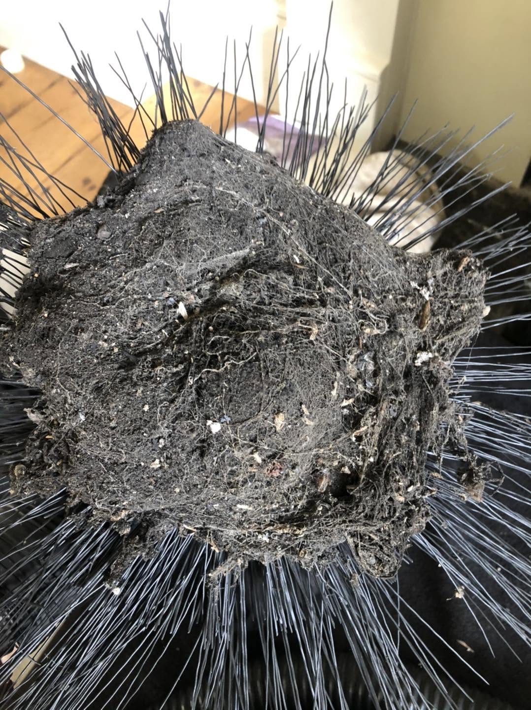 Sweep's brush head packed with a ball of soot