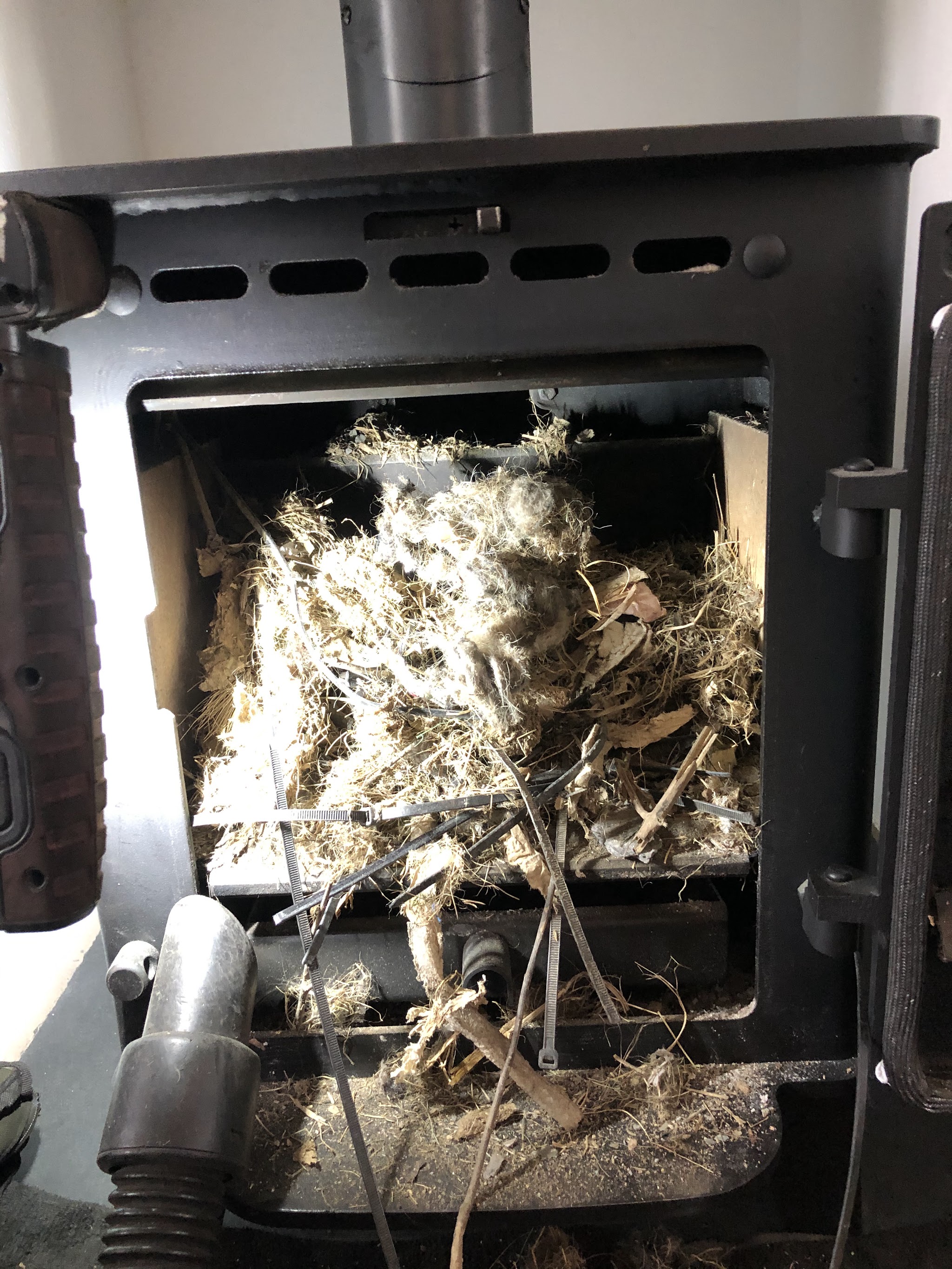 Nest material pulled down into a black stove