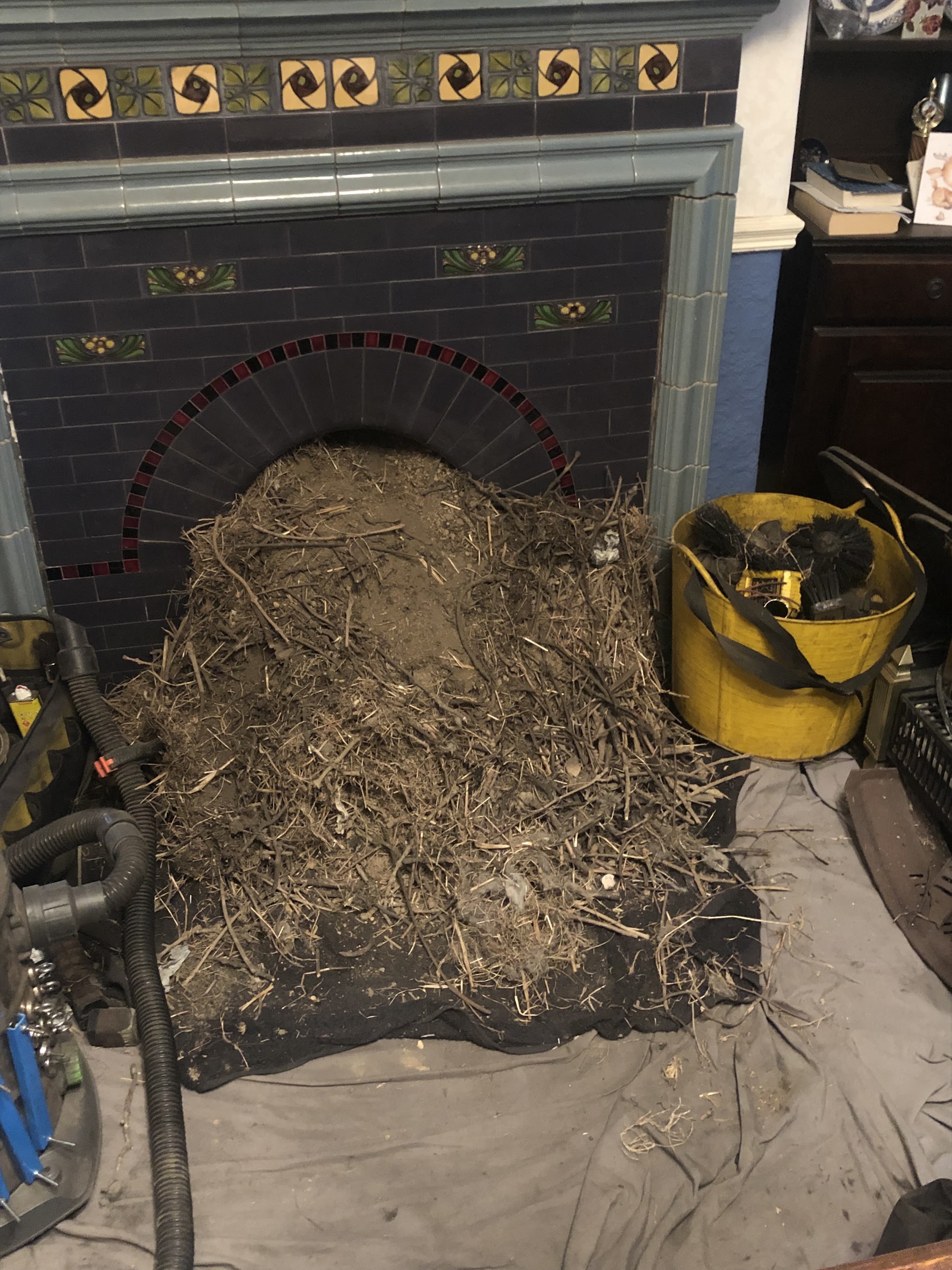 A large nest brought down into a tiled fireplace onto a dust sheet